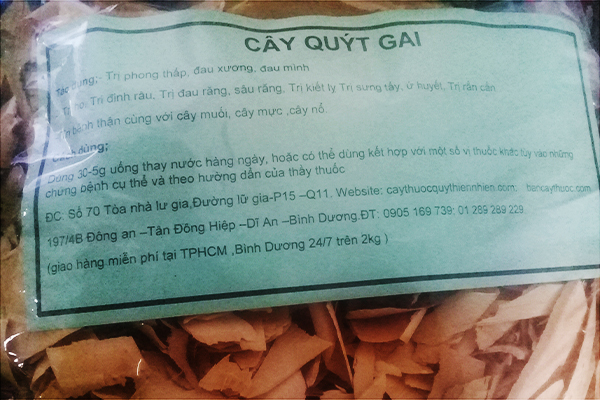 Cây quýt gai Thảo Dược Tâm Đức