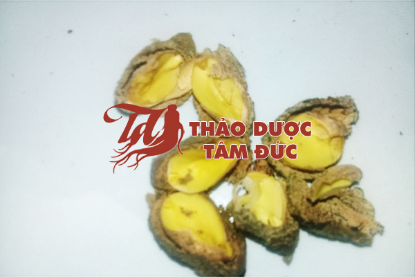 Hạt ươi mới Thảo Dược Tâm Đức