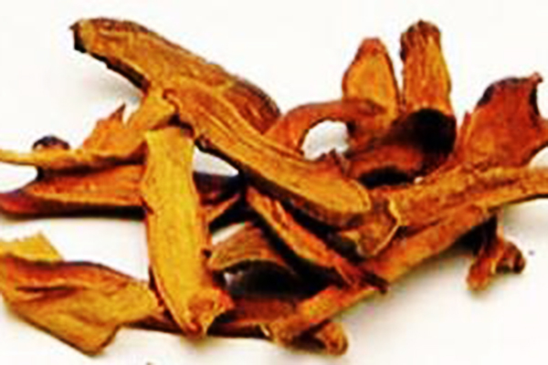 Cốt toái bổ khô