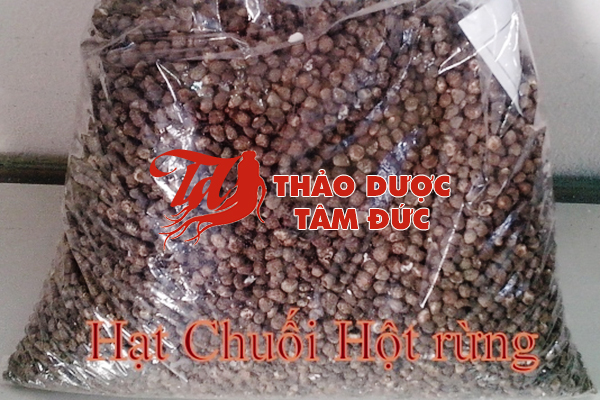 Hạt chuối hột rừng