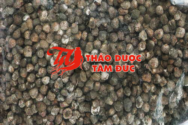 Hình ảnh hạt chuối rừng