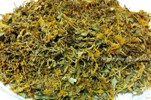 Hình ảnh hoa kim ngân khô