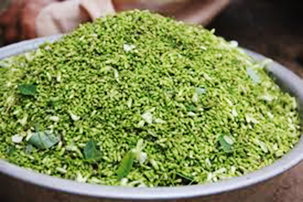 Nụ hoa hòe tươi