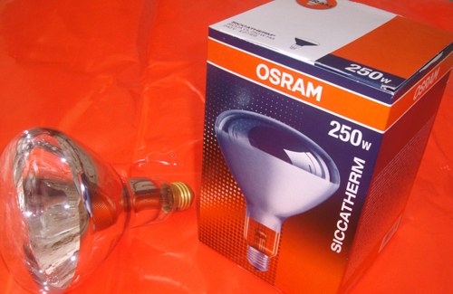bóng đèn hồng ngoại y tế 250w x-osram