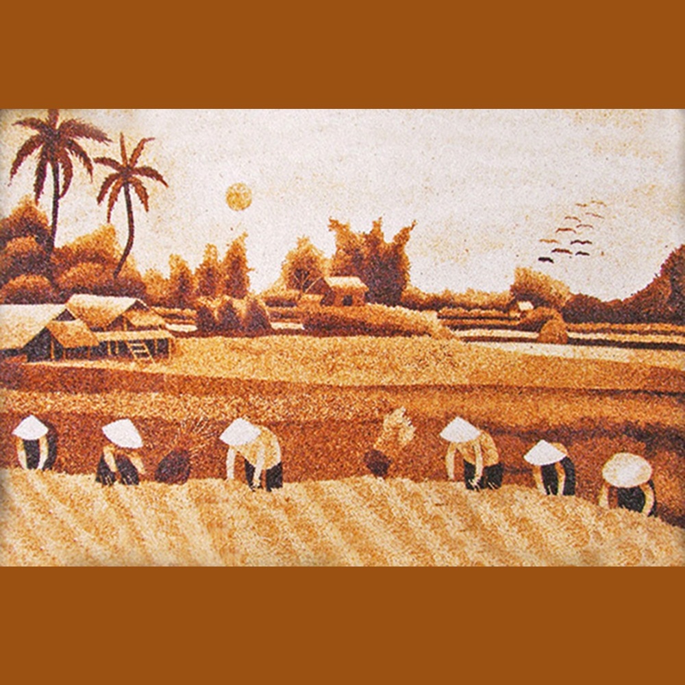Lúa mùa vụ
