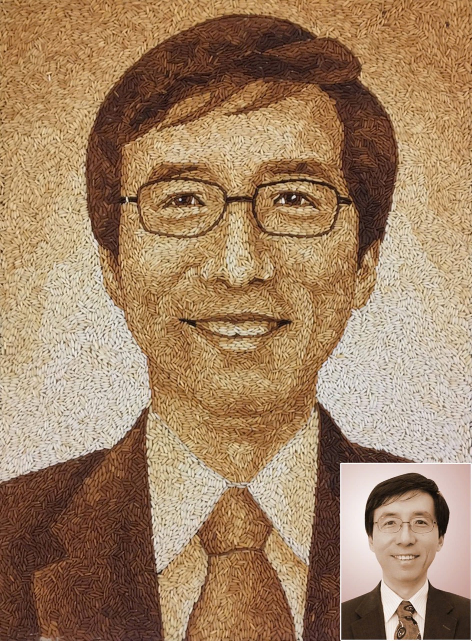 Tranh Gạo Rang Chân Dung 2025 14