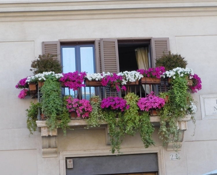 ban công màu sắc