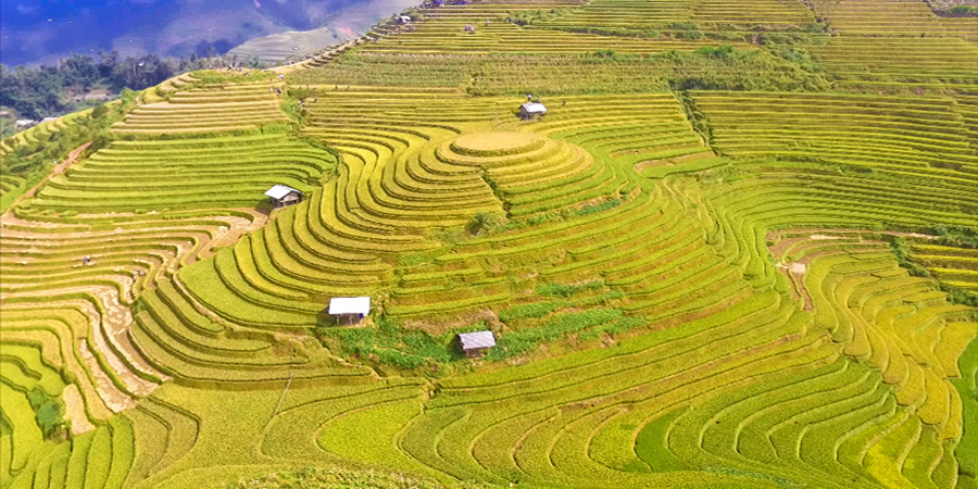 Khu ruộng bậc thang đồi mâm Xôi
