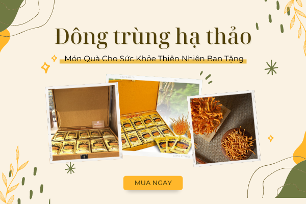 Đông Trùng Hạ Thảo - Món Quà Cho Sức Khỏe Thiên Nhiên Ban Tặng