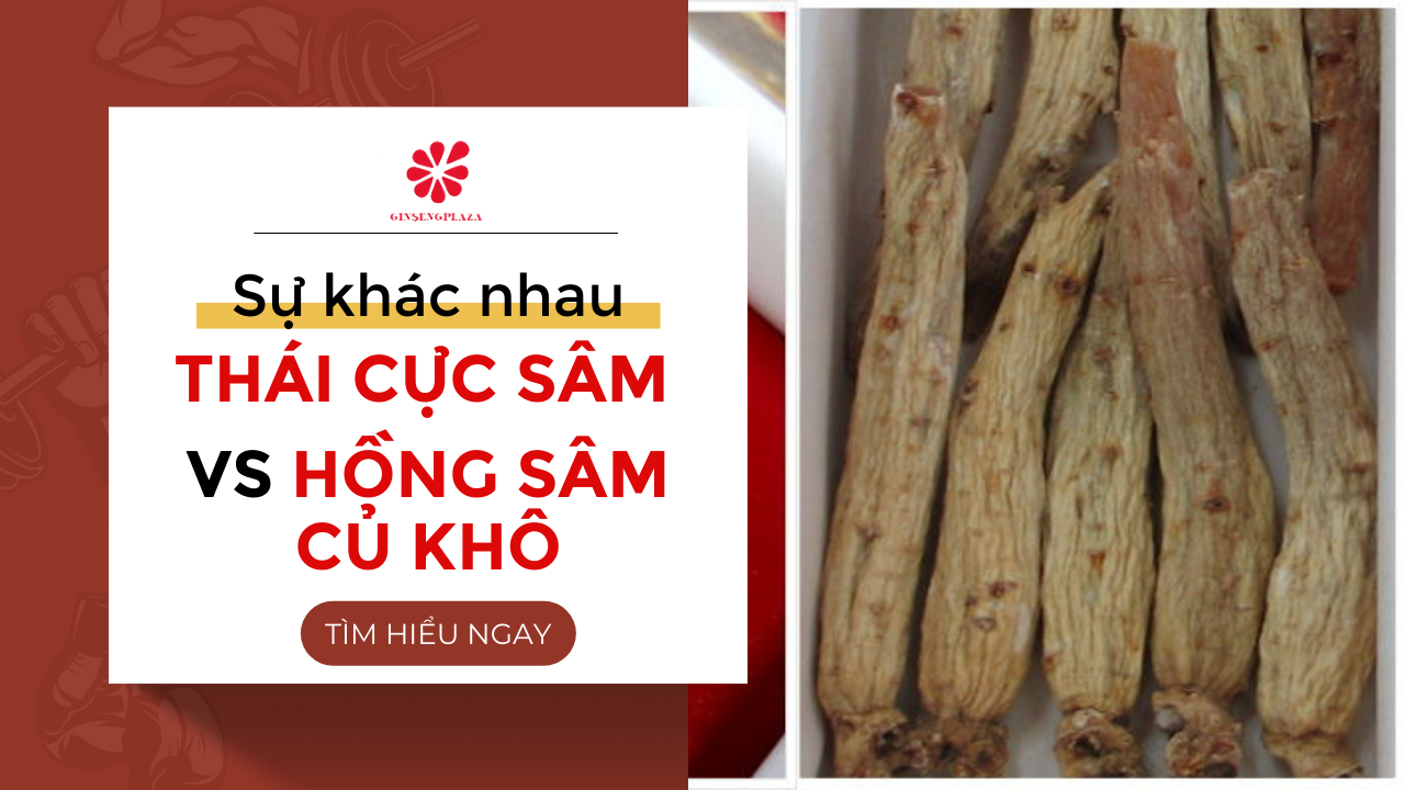 Sự Khác Nhau Giữa Thái Cực Sâm Và Hồng Sâm Củ Khô