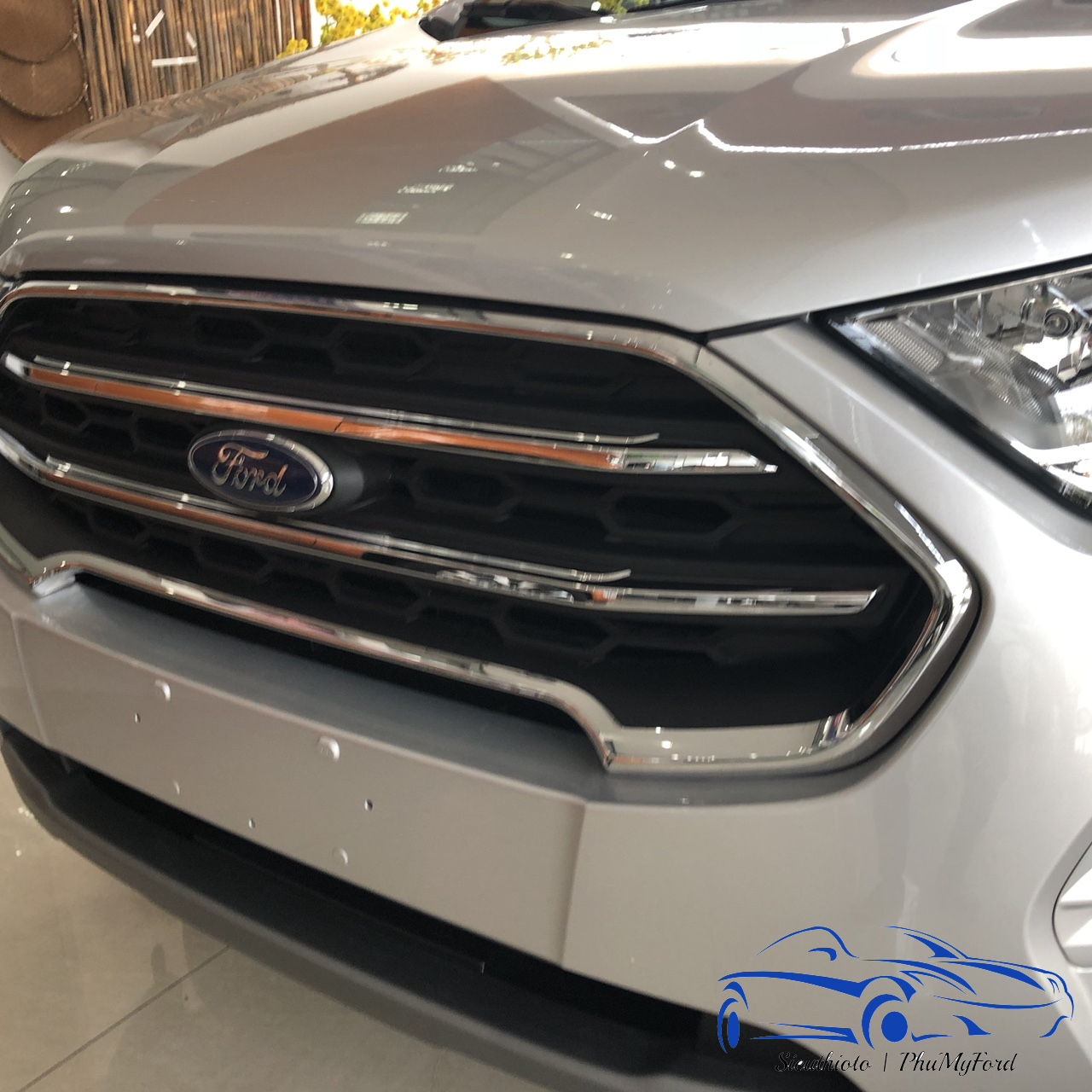 Ford Ecosport – chiếc SUV cỡ nhỏ đáng mua nhất 2019 1 Lưới tản nhiệt công nghệ Active Grille Shutter của Ecosport 2018
