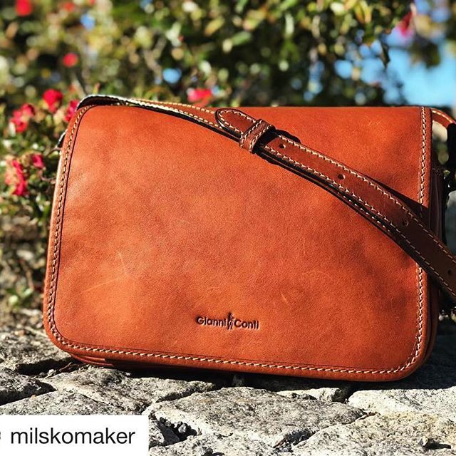 Túi da hàng hiệu cao cấp