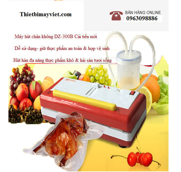 Máy hút chân không để bàn DZ-300B