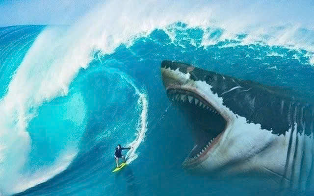 Góc nhìn chuyên gia: Đà tăng của thị trường mới đi nửa chặng đường, nhà đầu tư cần chọn đúng cổ phiếu thay vì “ăn theo sóng”