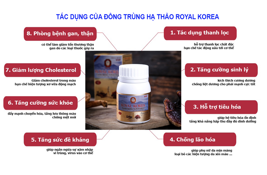 Những tác dụng của đông trùng hạ thảo mang lại cho con người