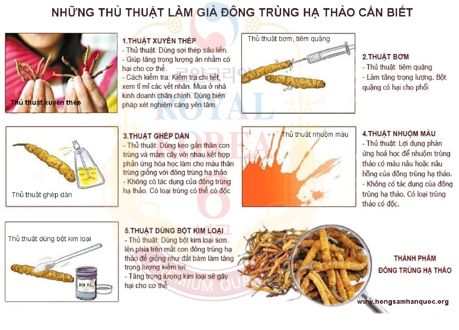 thủ thuật làm đông trùng hạ thảo giả cần biết