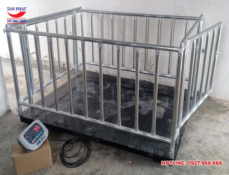 Mua bán cân động vật tại Thanh Hóa