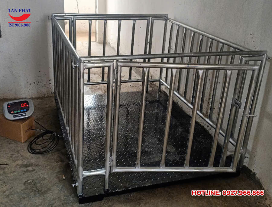 Mua cân sàn có lồng tại Thanh Hóa