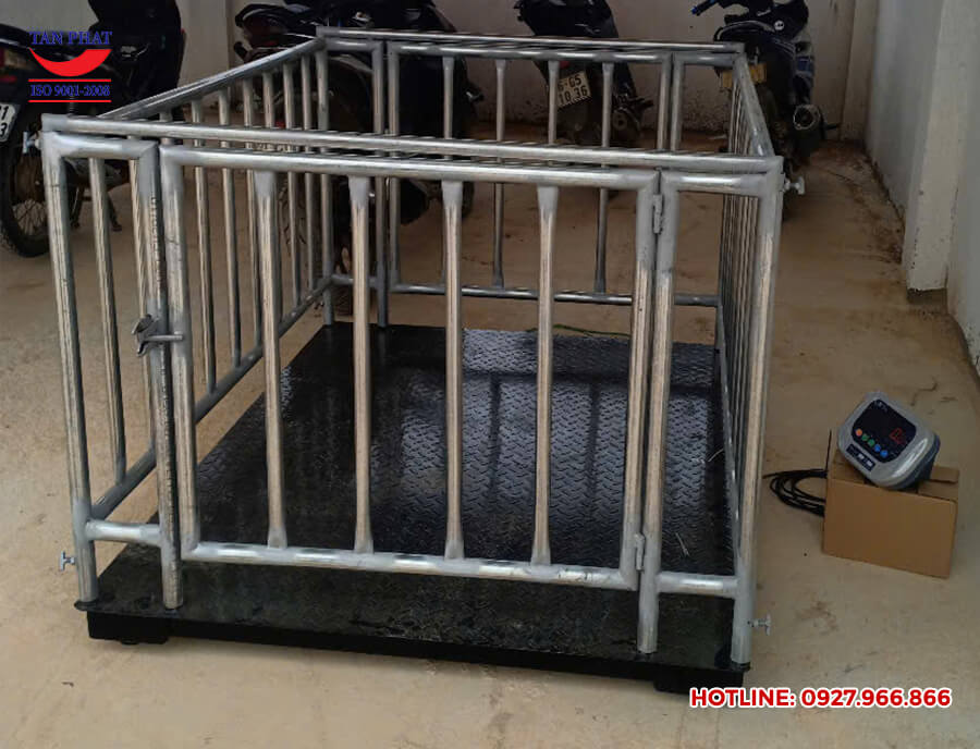 Địa chỉ mua cân sàn điện tử có lồng tại Thanh Hóa