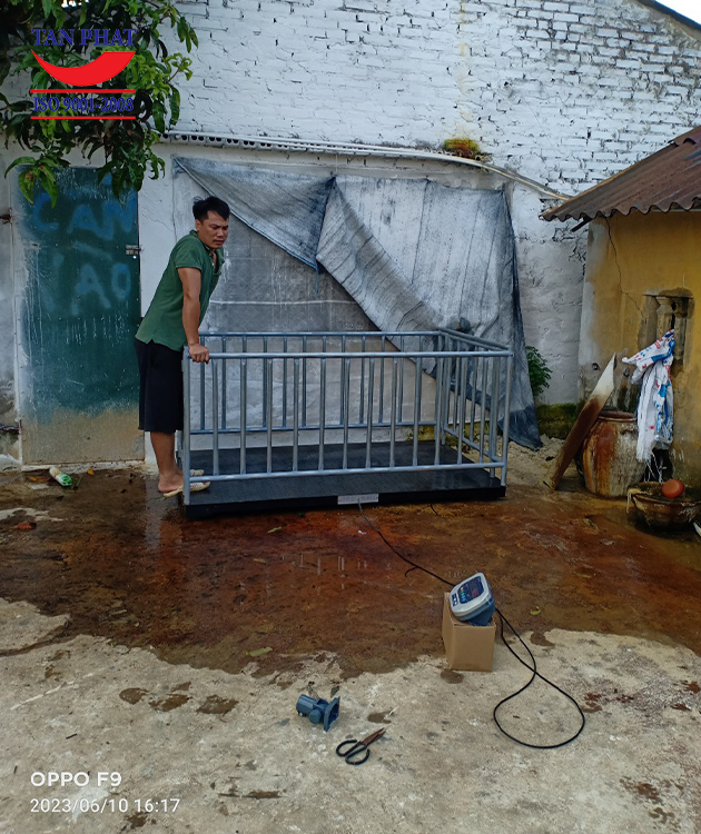 Cân điện tử 2 tấn cân động vật