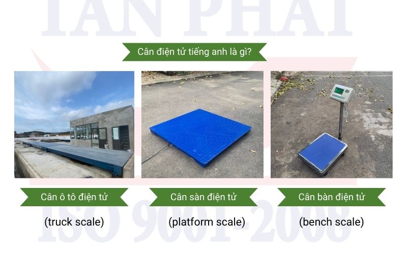 Cân điện tử tiếng anh là gì?