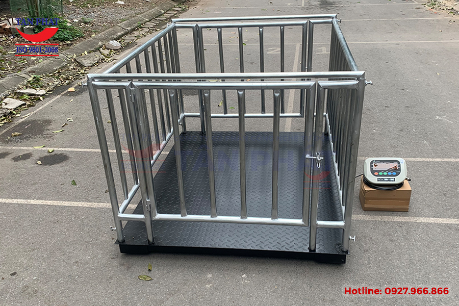 Cân sàn điện tử 3 tấn kích thước (2mx1.5m) thiết kế thêm lồng bao quanh, chuyên dùng trong ứng dụng cân động vật, cân gia súc hiện nay.