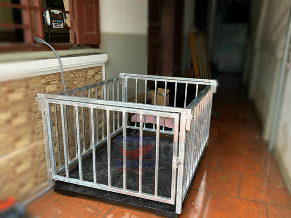 Mẫu cân điện tử 1 tấn lắp đặt kèm lồng khung bao quanh