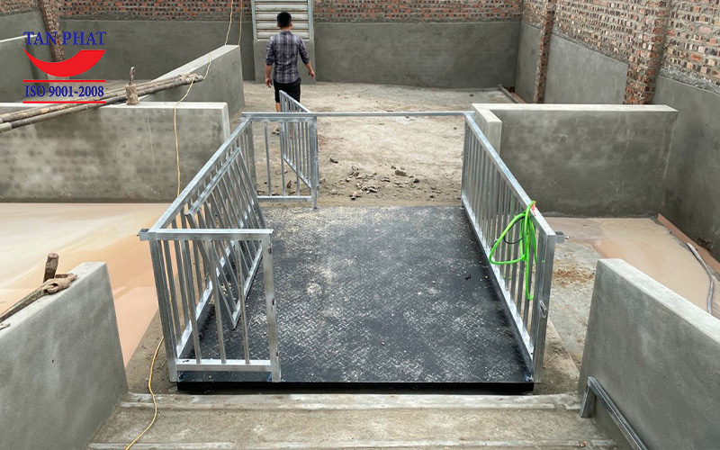 Quá trình lắp đặt cân động vật kích thước 1.5mx2m cho trang trại chăn nuôi tại Bắc Giang