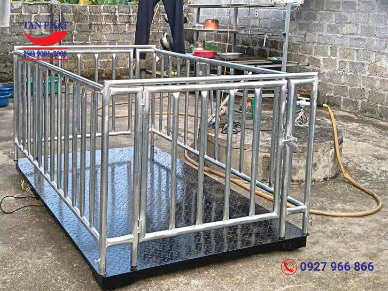 Cân sàn điện tử 2 tấn có lồng, kích thước 2mx1.2m