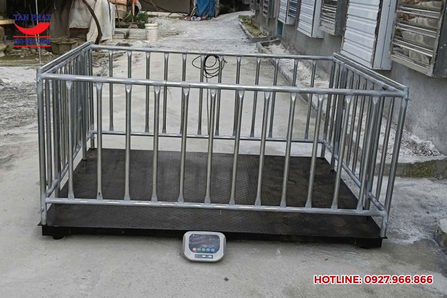 Cân sàn có lồng