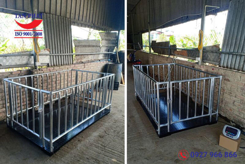 Cân sàn điện tử 2 tấn (2mx1.2m) có lồng