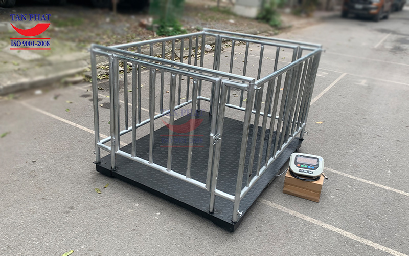 Cân sàn điện tử 2 tấn có lồng