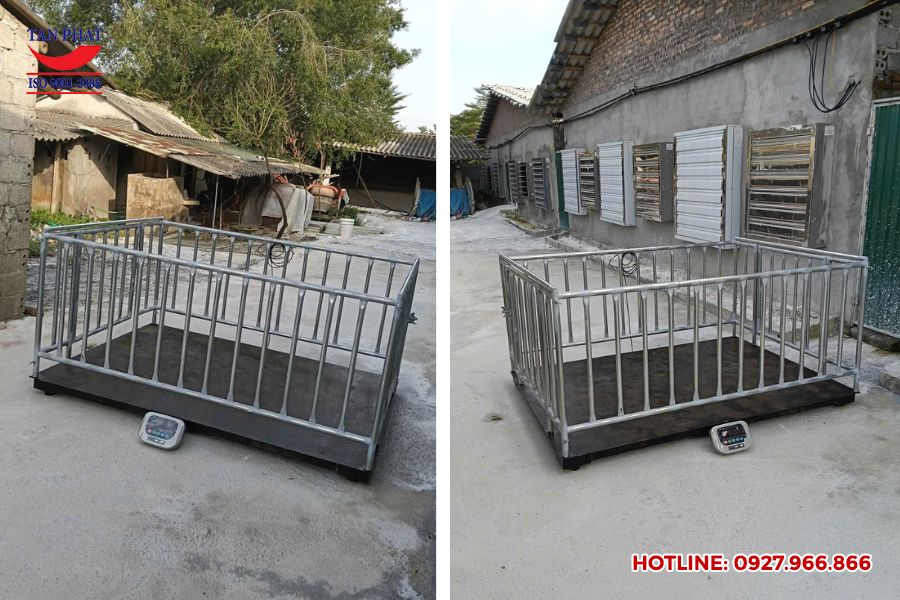 Cân sàn điện tử có lồng