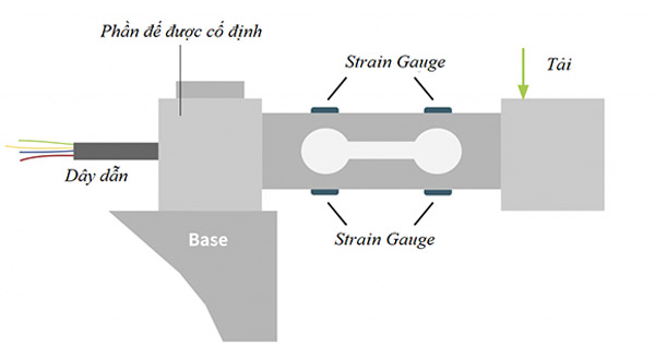 Cấu tạo loadcell - cảm biến lực