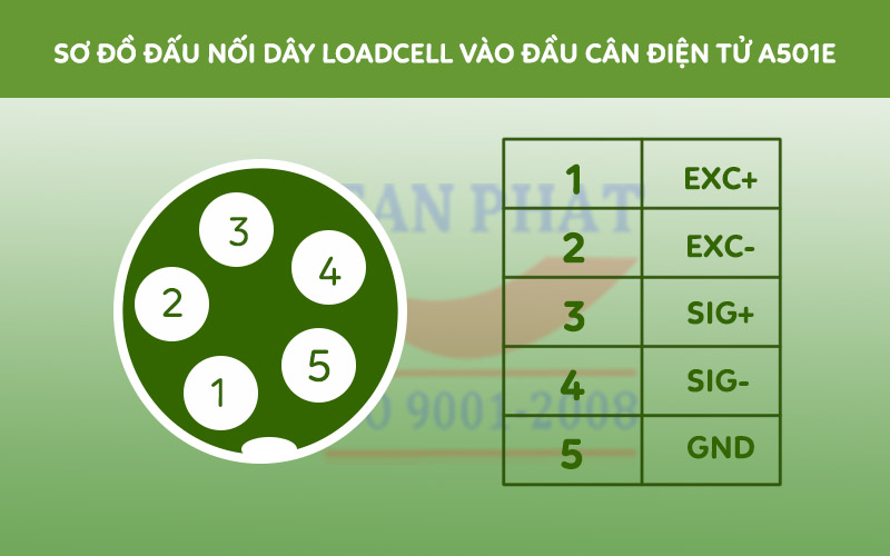 Hướng dẫn đấu nối dây loadcell vào đầu cân A501E 60KG