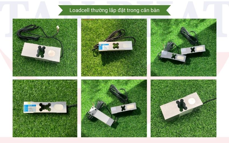 Loadcell cân bàn điện tử