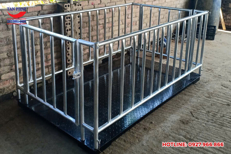 Địa chỉ mua cân động vật tại Bắc Ninh