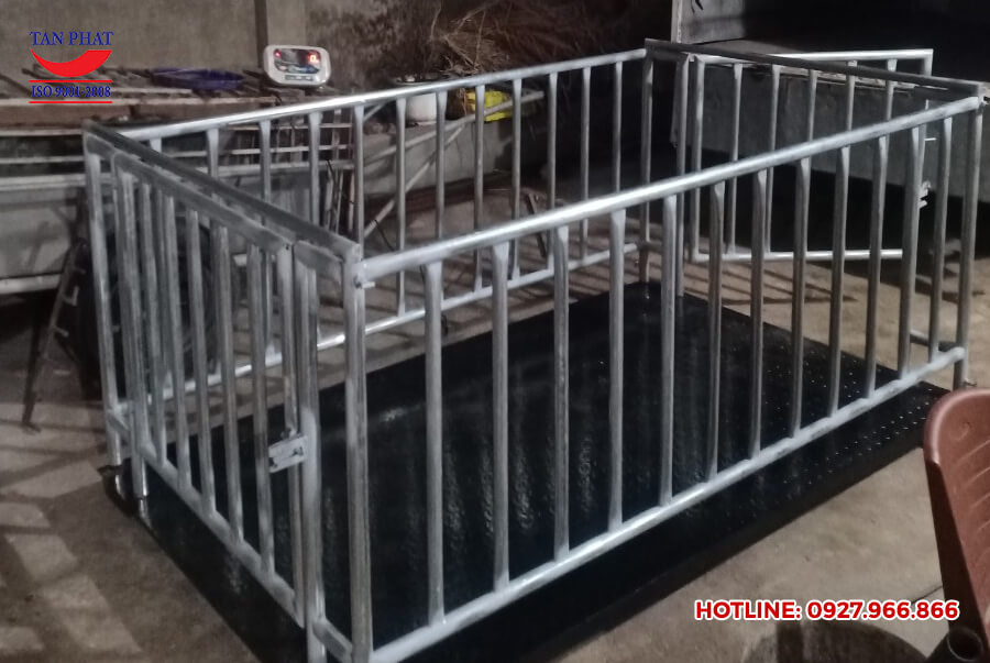 Cân động vật - Cân điện tử 3 tấn (2mx1.5m) giao tại Quỳnh Phụ, Thái Bình