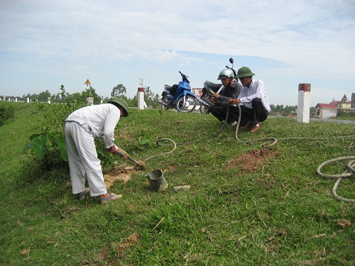 Phòng trừ mối cho công trình đê, đập