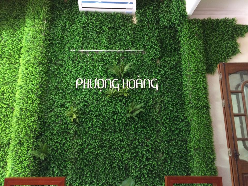 Trang trí  công ty bằng cỏ nhân tạo