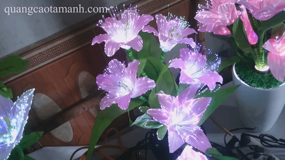 chậu hoa led