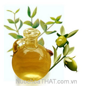Hướng dẫn cách giữ nước hoa thơm lâu
