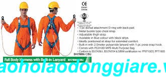 Dây an toàn toàn thân