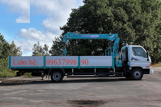 Cẩu tự hành gắn trên xe tải