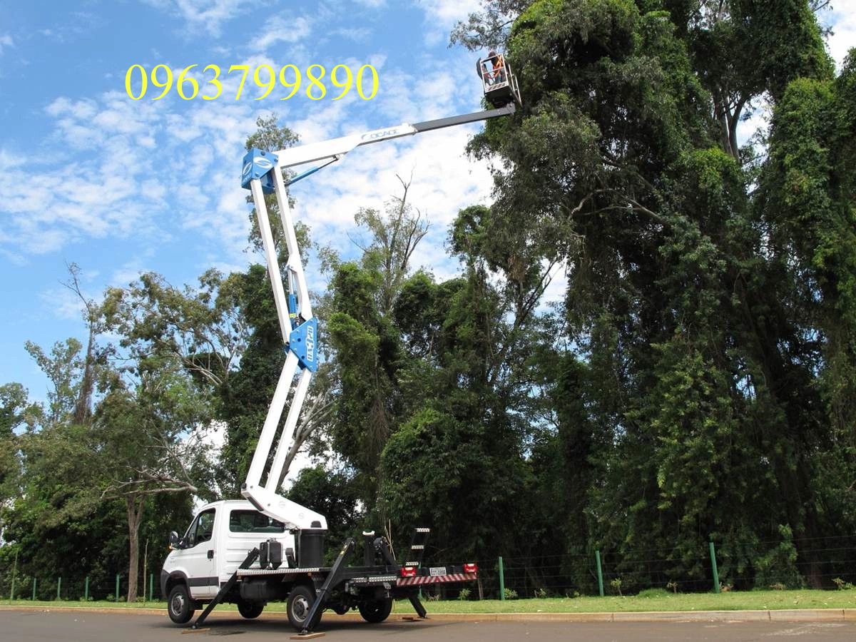 XE THANG NÂNG NGƯỜI CẮT TỈA CÂY XANH