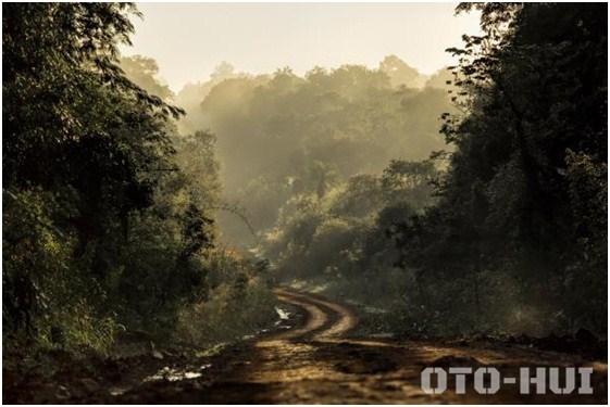 Mẹo lái xe trong thời tiết sương mù