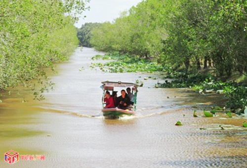 Thuyền chạy bằng năng lượng mặt trời được đưa vào sử dụng tại khu du lịch Tràm Chim (Đồng Tháp). Ảnh: NVCC.