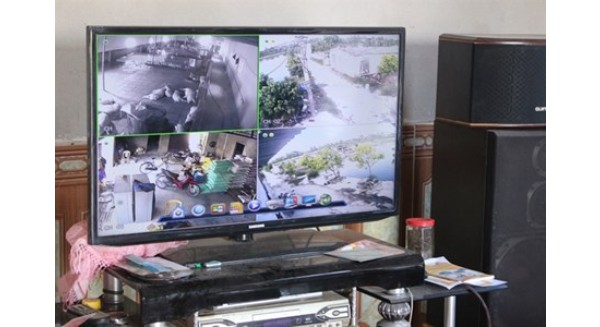 Ông chủ trang trại VAC giám sát công việc bằng camera và máy tính