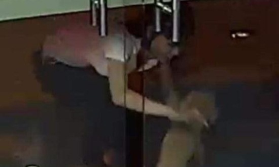 Cặp đôi thản nhiên bế trộm chó Poodle: Trích xuất camera