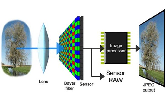Tìm hiểu về Image Sensor - Cảm biến hình ảnh trong camera giám sát